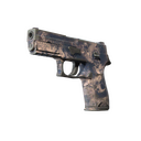P250 | Drought (Well-Worn)