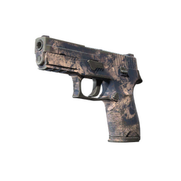 P250 | Drought (Well-Worn)