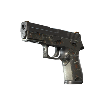 P250 | Small Game (Battle-Scarred)
