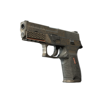 P250 | Bullfrog (Battle-Scarred)