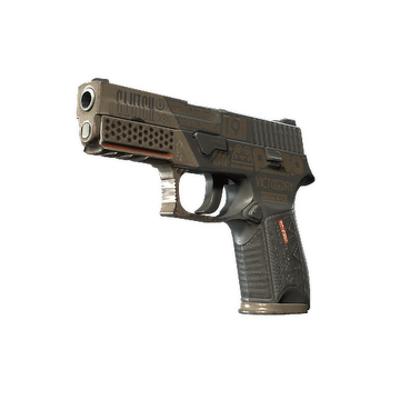 P250 | Bullfrog (Field-Tested)