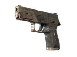P250 | Bullfrog (Minimal Wear)