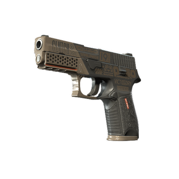 P250 | Bullfrog (Minimal Wear)