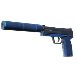 USP-S | Blueprint (Factory New)