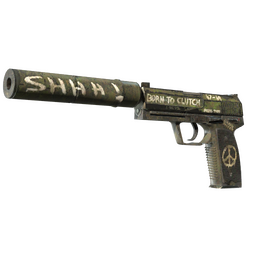 StatTrak™ USP-S | Flashback (Field-Tested)
