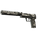 StatTrak™ USP-S | Ticket to Hell (Well-Worn)