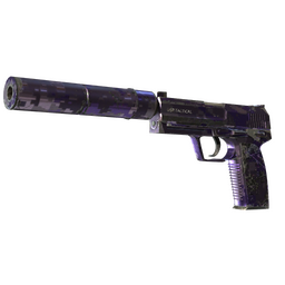Souvenir USP-S | Purple DDPAT (Well-Worn)