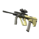 Souvenir AUG | Colony (Well-Worn)