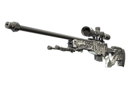 AWP | The End