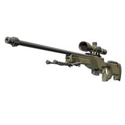 AWP | Safari Mesh (Well-Worn)
