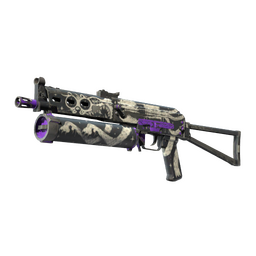 PP-Bizon | Space Cat (Field-Tested)