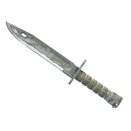 ★ Bayonet | Urban Masked (Battle-Scarred)