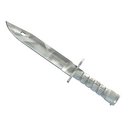 ★ Bayonet | Urban Masked (Minimal Wear)