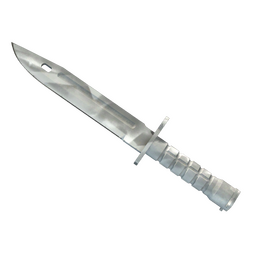 ★ Bayonet | Urban Masked (Minimal Wear)