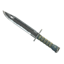 ★ Bayonet | Night (Battle-Scarred)