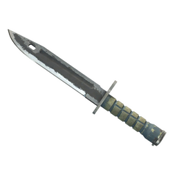 ★ Bayonet | Night (Battle-Scarred)