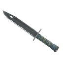 ★ Bayonet | Night (Well-Worn)