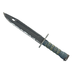 ★ Bayonet | Night (Field-Tested)