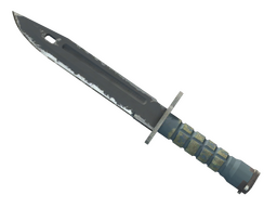 ★ Bayonet | Night