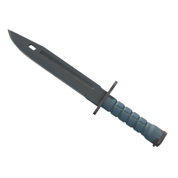 ★ Bayonet | Night (Minimal Wear)