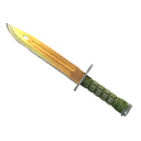 ★ Bayonet | Lore (Field-Tested)