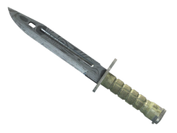 ★ Bayonet | Damascus Steel (Field-Tested)