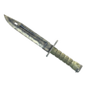 ★ Bayonet | Stained (Battle-Scarred)
