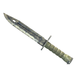 ★ Bayonet | Stained (Battle-Scarred)