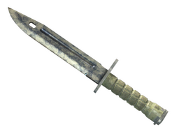 ★ Bayonet | Stained