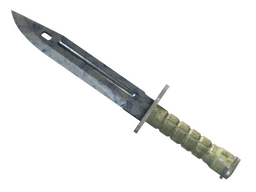 ★ Bayonet | Stained