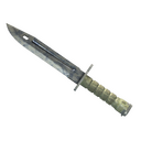 ★ Bayonet | Stained (Well-Worn)