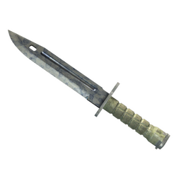★ Bayonet | Stained (Field-Tested)
