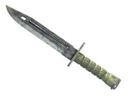 ★ Bayonet | Stained