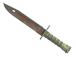 ★ Bayonet | Rust Coat