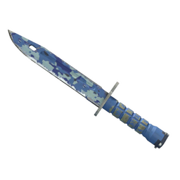 ★ Bayonet | Bright Water (Field-Tested)