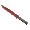 ★ Bayonet | Crimson Web (Field-Tested)