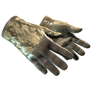 ★ Driver Gloves | Diamondback (Field-Tested)
