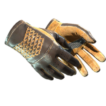 ★ Driver Gloves | Overtake (Field-Tested)