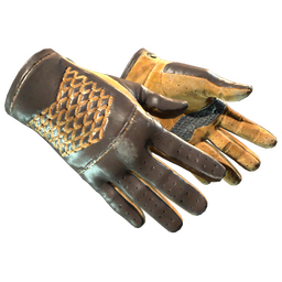 ★ Driver Gloves | Overtake (Well-Worn)