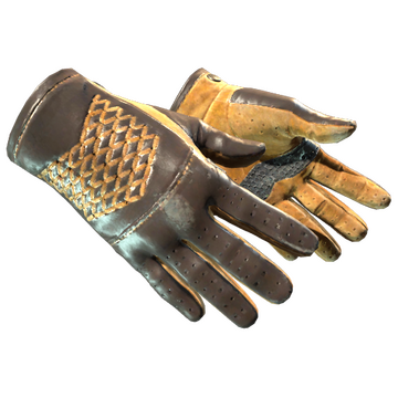 ★ Driver Gloves | Overtake (Well-Worn)
