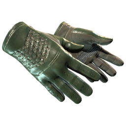 ★ Driver Gloves | Racing Green (Factory New)