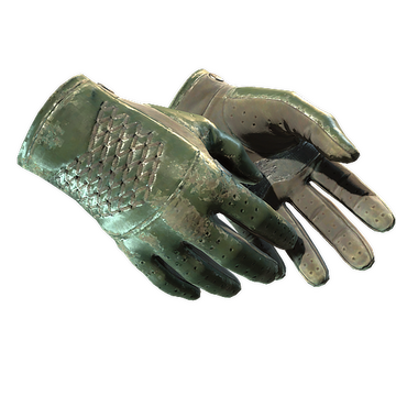 ★ Driver Gloves | Racing Green (Battle-Scarred)