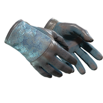 ★ Driver Gloves | Seigaiha (Battle-Scarred)