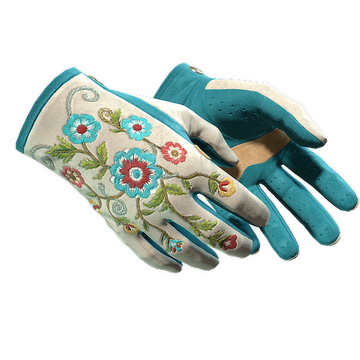 ★ Driver Gloves | Garden (Minimal Wear)