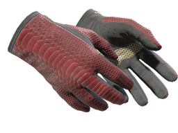 ★ Driver Gloves | Dragon Fists