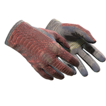 ★ Driver Gloves | Dragon Fists (Battle-Scarred)