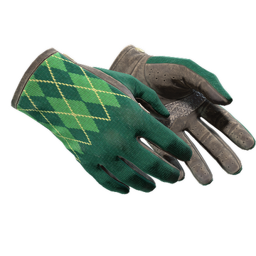 ★ Driver Gloves | Hand Sweaters (Field-Tested)