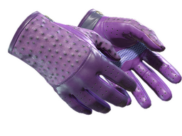 ★ Driver Gloves | Plum Quill