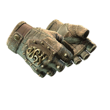 ★ Hydra Gloves | Mangrove (Battle-Scarred)