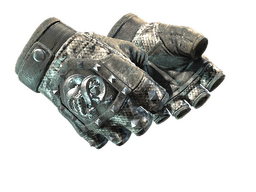 ★ Broken Fang Gloves | Unhinged